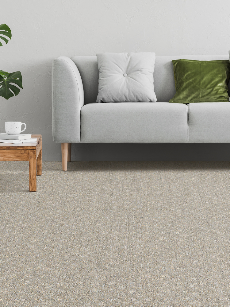 carpet in living room, grey couch, plant, pillows on couch. 